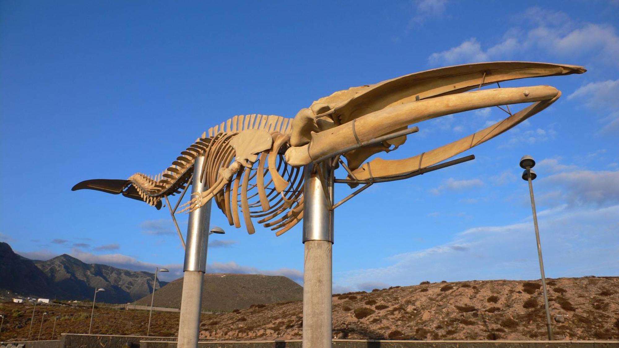 Casa"La Gomera" Los Silos Kültér fotó